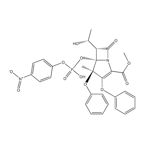 Protease Products