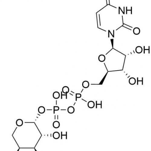 UDP-β-L-Arabinose A0510