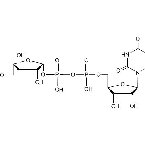 UDP-β-L-Arabinofuranose A0511