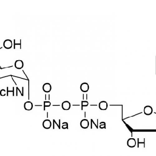 UDP-GlcNAc.2Na  A0513